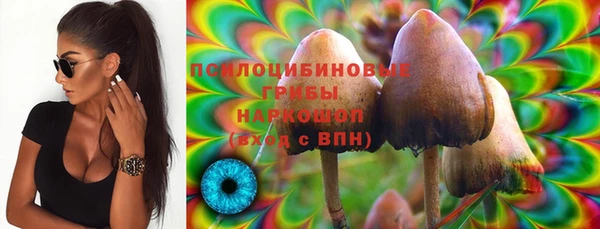 марки lsd Бугульма